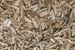 biomass boilers Wortwell